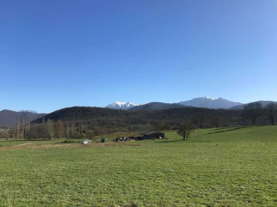 Au Coeur De Loo Villa Sauveterre-de-Comminges Kültér fotó