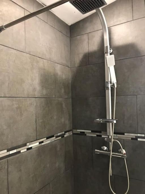 Au Coeur De Loo Villa Sauveterre-de-Comminges Kültér fotó
